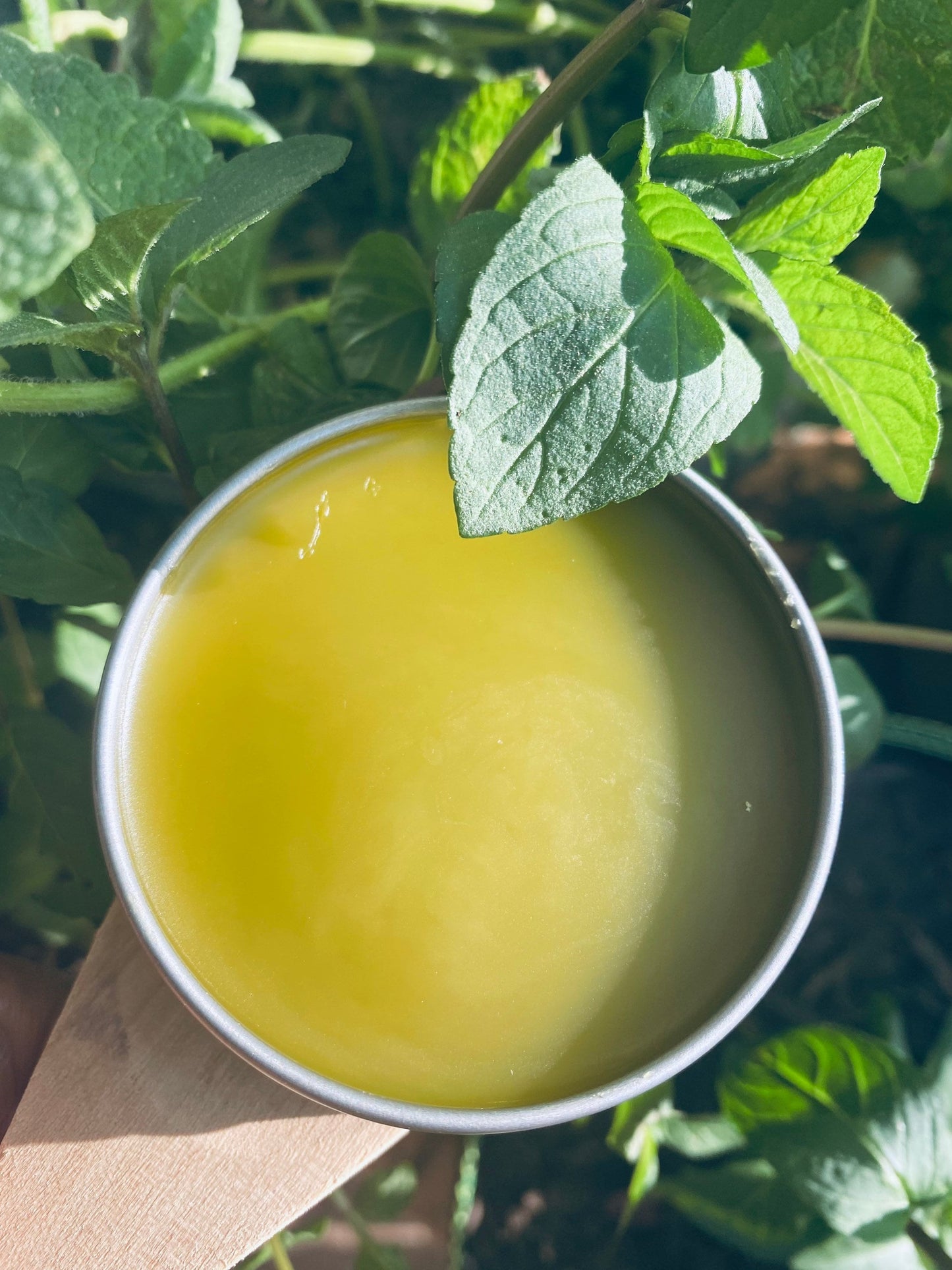 Organic Hemp Balm (Peppermint EO) Salve Ointment Pain Relief Fights Inflammation Non-GMO Calms Muscle Joint Neuropathy Chemical Free 4 oz