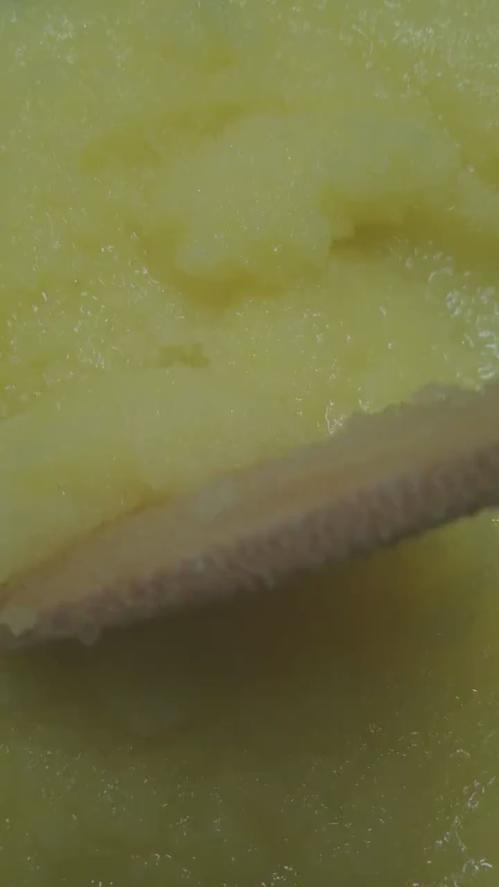 Whipped Lemon Pound Cake Sugar and Shea Scrub Natural Exfoliate Dry Skin Chemical Free Skin Softening Moisturizing Self Care 8 oz